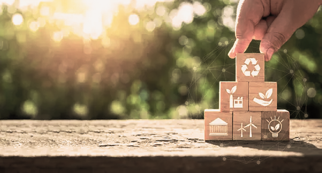 Practical Startup Scaling Tips for Sustainable Growth