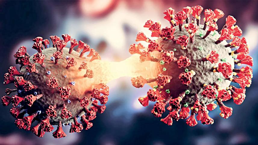 COVID-19 Symptoms – Current Signs You Should Know